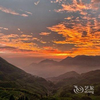 云和坐看云起民宿酒店提供图片