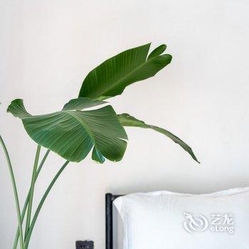 南宁素久小院民宿酒店提供图片