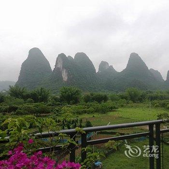 阳朔棕榈假日花园民宿酒店提供图片