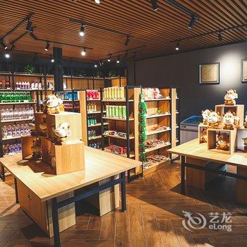 启东洲颐星空屋酒店酒店提供图片