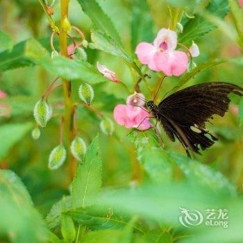 梵净山云舍璞居民宿酒店提供图片