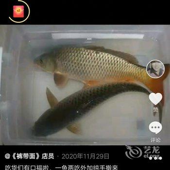 吉县农家鱼府酒店提供图片