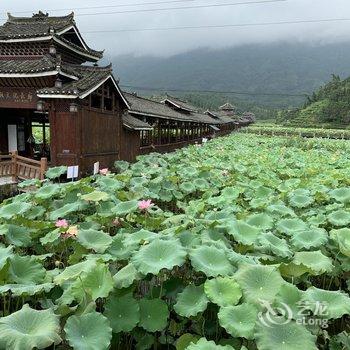 维也纳酒店(三江鼓楼鸟巢集散中心店)酒店提供图片