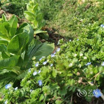 无锡凡意山居客栈酒店提供图片