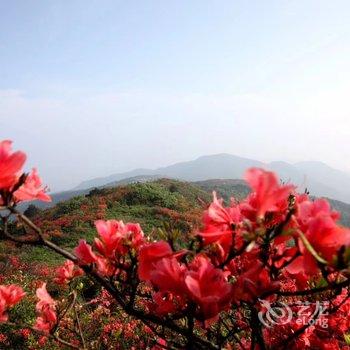 遂昌望辰民宿酒店提供图片