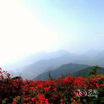 遂昌望辰民宿酒店提供图片