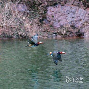 宜宾溪里民宿酒店提供图片