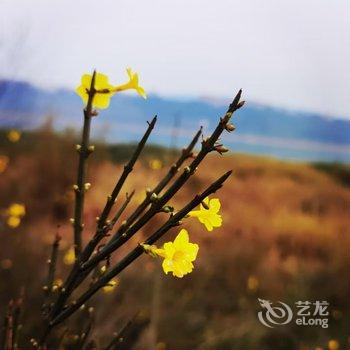 宜宾溪里民宿酒店提供图片