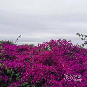 宜宾溪里民宿酒店提供图片