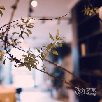 乐山植寓～花艺师的家公寓酒店提供图片