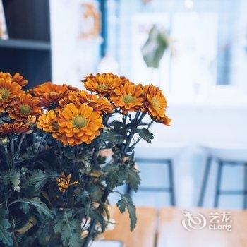 乐山植寓～花艺师的家公寓酒店提供图片