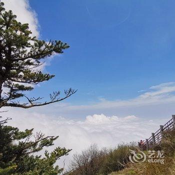 乐山枕山栖景区入口/温泉/豪华多套公寓酒店提供图片