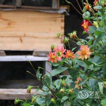 岳西兰溪雨山居别墅(3号店)酒店提供图片