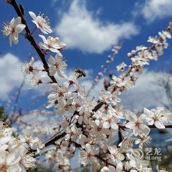 长白山花田吾舍精品民宿酒店提供图片