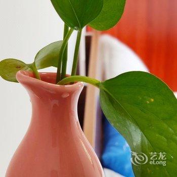 漳州漳州东山礼遇轻民宿酒店提供图片