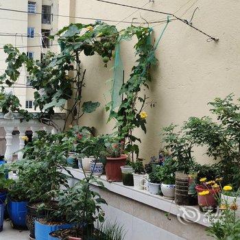 雅安川师公寓酒店提供图片