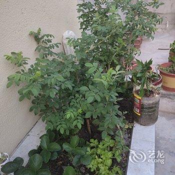 雅安川师公寓酒店提供图片