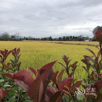 黟县青岸客栈酒店提供图片