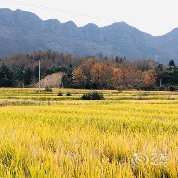 黟县青岸客栈酒店提供图片