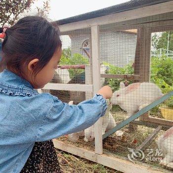 孟津克里克里欧风农庄酒店提供图片