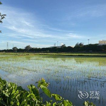 中山蝉意民枫民宿酒店提供图片