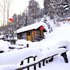 雪乡赵老四家庭旅馆电话:0451-81321013