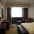 武汉沌口豪生国际酒店高级大床房照片_图片