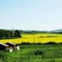 坝上君兰园水岸云天山庄电话:0311-66850689