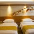 维也纳国际酒店(长沙汽车西站店)城景 l 高级双床房--暖阳春盛·智能客控照片_图片