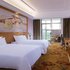 维也纳酒店(从化环市东路江埔店)高级双床房照片_图片
