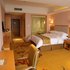 维也纳3好酒店(天津中新生态城店)豪华大床房照片_图片