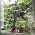 乐山嘉州老城小屋(紫云后街店)电话:0837-8667102
