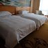 维也纳酒店(嘉善古镇店)高级双床房照片_图片