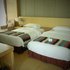 华山国际大酒店高级双床房照片_图片