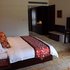 林芝鲁朗珠江国际酒店豪华大床房照片_图片
