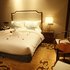 鄂尔多斯爱之蒙迎宾酒店豪华大床房照片_图片