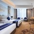 维也纳国际酒店(南京新港开发区店)行政双床房照片_图片