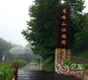 麻城龟峰山风景区_麻城龟峰山景区收入(2)