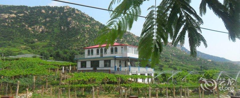 【昌黎葡萄沟山水人家农家院】地址:昌黎县十