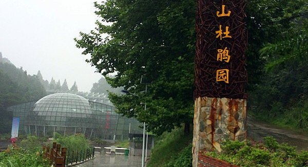 麻城龟峰山风景区_麻城龟峰山景区收入(2)