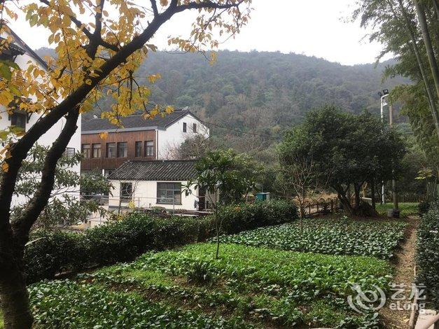 苏州树山竹里山居民宿