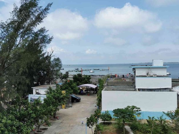 【湛江硇洲岛海岛渔家乐】地址:硇洲镇北港讯地仔村