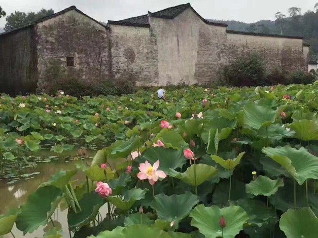 【祁门南山客栈】地址:闪里镇桃源村 艺龙旅行网