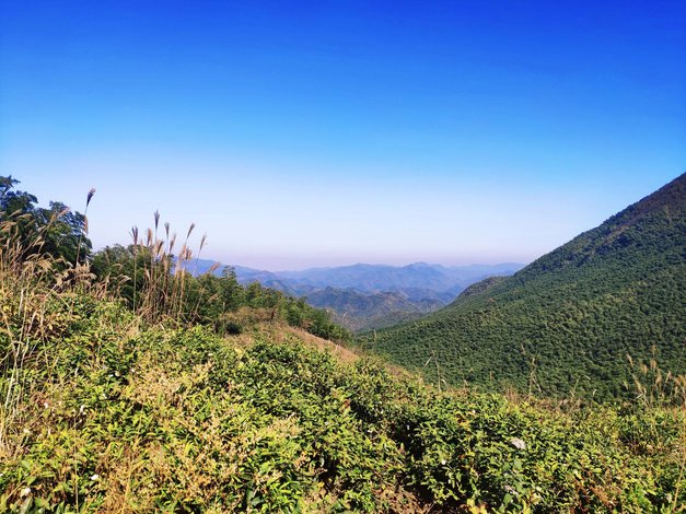 【杭州东篱居民宿】地址:百丈镇仙岩村九东山 艺龙旅行网