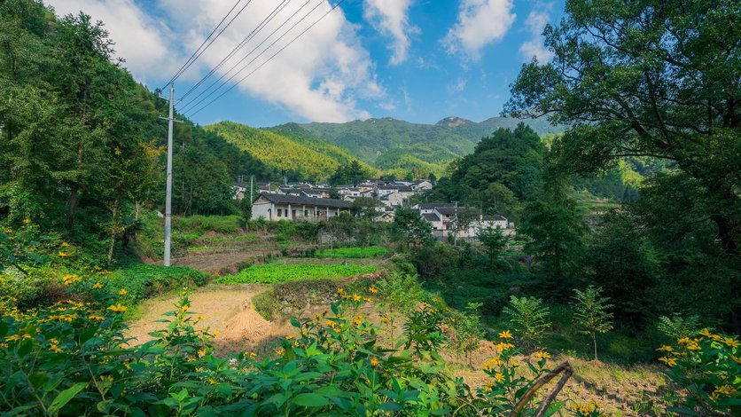 绩溪放空山居民宿