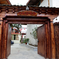 Aged-tree hotel