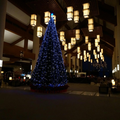 Sheraton Sanya Resort - Sanya