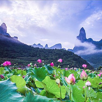 福州风景区酒店预订网 - 福州住宿\/福州青年旅