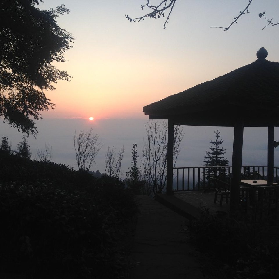 雅安名山区酒店预订_雅安名山区宾馆预订