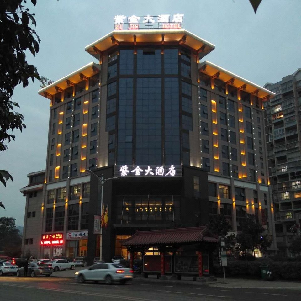 剑阁紫金大酒店图片